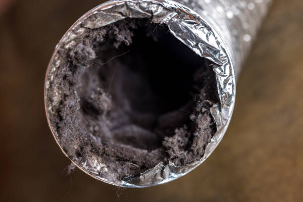 Trusted Beach Haven, NJ Airduct Cleaning Experts
